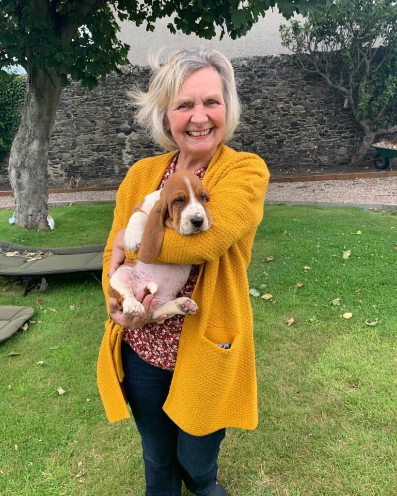 Basset hound breeder near me​