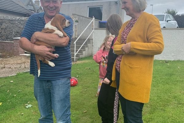 Basset hound breeder near me​